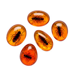 Ancient insects trapped in amber. The image features a collection of amber pieces, each encasing an insect preserved within.