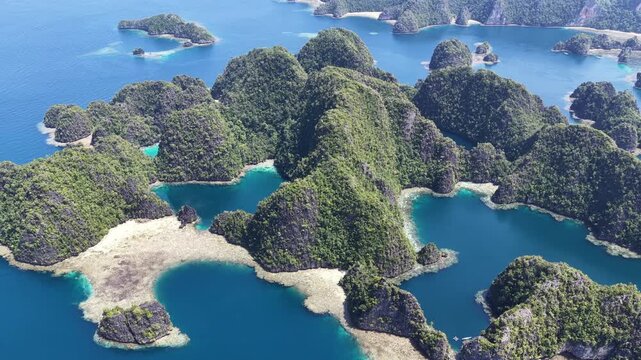 Beautiful rock islands, composed of ancient, uplifted reefs, rise from the seascape in Misool, Indonesia. This region harbors spectacular marine biodiversity and is a popular destination for divers.