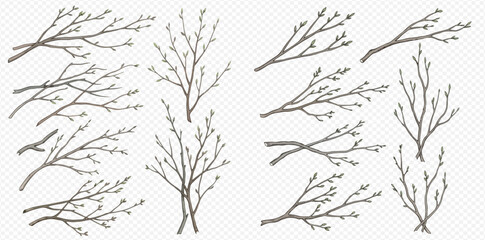 Set of hand-drawn tree branches with buds, representing spring awakening and new growth in nature. © Akun