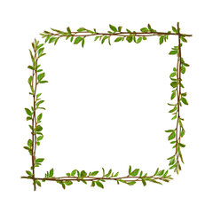Natural square frame made of fresh green branches and young leaves isolated on white background. Botanical border for spring, eco, organic design, greeting cards, invitations, and templates.