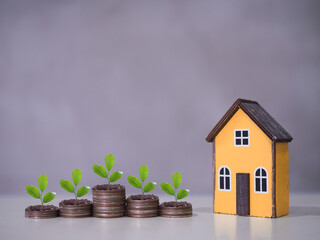Miniature house and plants growing up on stack of coins. The concept of saving money for house, Property investment, House mortgage, Real estate in the future
