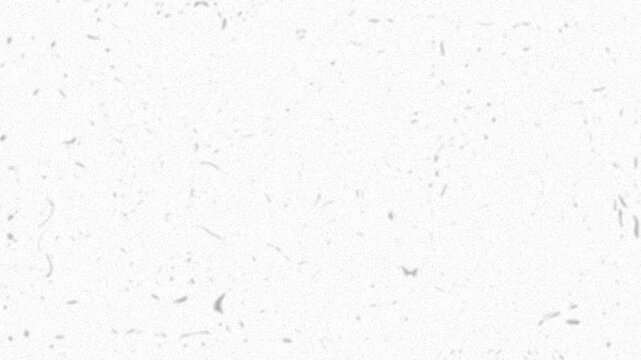 White paper texture background seamless loop stop motion animation with dust and grain noise. 4K animated paper texture for background looping, motion graphics, overlays, and video editing.