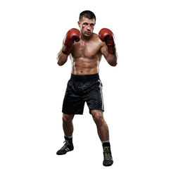 Boxer in Fighting Stance with Red Gloves Transparent Background PNG