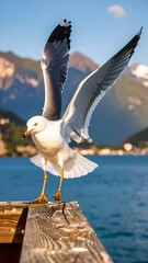 Seagull taking flight over a lake