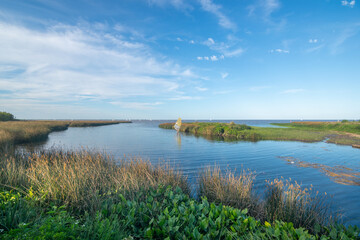 Coast view and view of La Plata River from San Isidro - San Isidro, Argentina