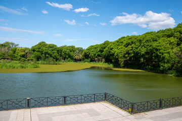 Fototapeta premium View of Costanera Sur Reserve - Buenos Aires, Argentina
