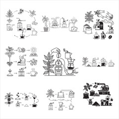 Coffee Education Infographic Bean To Cup Black Vector