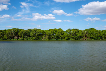 Obraz premium View of Costanera Sur Reserve - Buenos Aires, Argentina