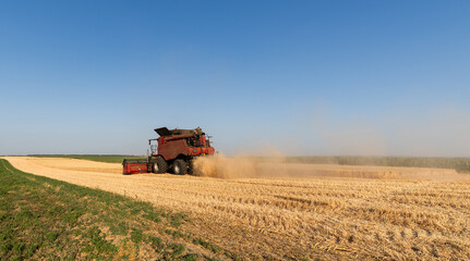 Combine harvester in field wheat