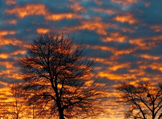 Obraz premium Sunset, beauty in nature, winter solstice