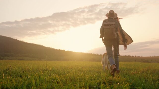 Morning journey with loyal dog, Gentle morning trek across lush fields with loyal husky companion facing sunrise