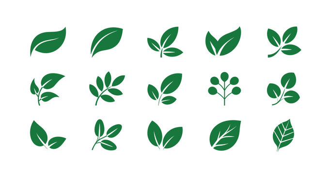 A simple vector illustration showing a set of green leaves representing nature, plants, and eco friendly design elements, Vector illustration.