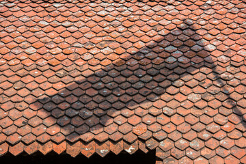 Traditional Roof Tile Pattern with Flag Shadow. A conceptual image, as it could represent the flag of any nation.