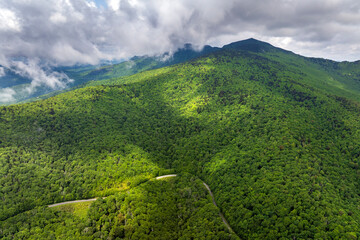Winding mountain road in summer woods. Appalachian mountains in North Carolina with fresh green forest trees in summertime season. Beauty of USA nature