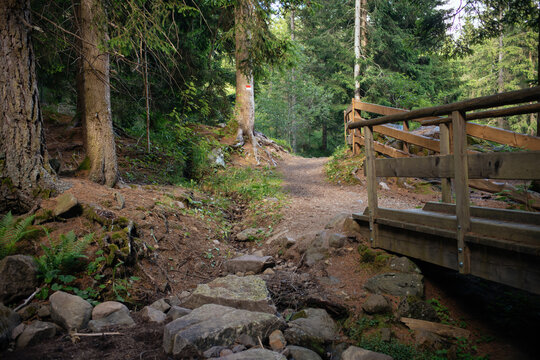 Br&uuml;cke &uuml;ber Bach im Wald