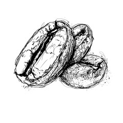 Coffee beans arranged on a plain background showing details of their shape and texture in a simple black and white style