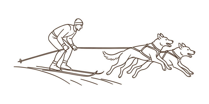 Man skiing with two sled dogs in harness on snowy trail. Winter sport, skijoring race and outdoor adventure concept. Vector illustration.