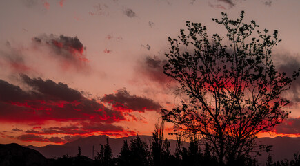 Dramatic red sunset sky with tree silhouette over Andes mountain