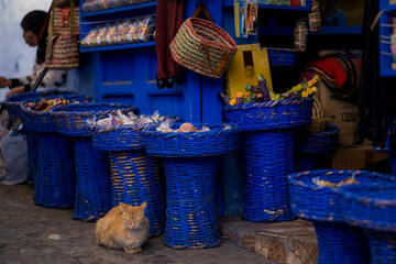 A sleepy ginger cat sits on cobblestones beside deep blue woven baskets at a small street shop in Chefchaouen, Morocco, surrounded by sweets, textures, and the iconic blue of the medina.