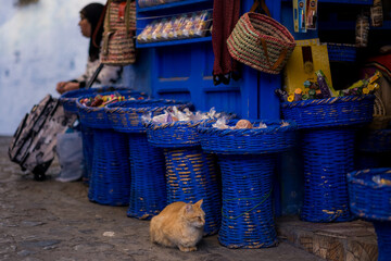 A ginger cat resting beside vivid blue woven baskets at a small street stall in Chefchaouen, Morocco, surrounded by sweets, textures, and the calm rhythm of the blue medina.