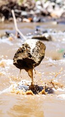 Brown rock in murky water