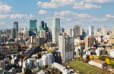 Skyline of Tokyo's Minato, Japan