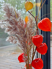 Autumn bouquet of physalis in vase on window sill