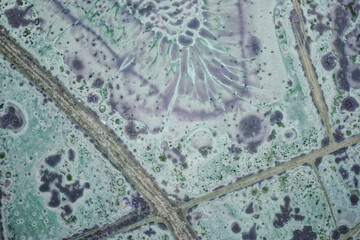 Unique tinguaite pattern&ndash; world&rsquo;s only macro structure, polished section from Khibiny, Kola Peninsula, Russia. Exclusive rock texture and color zones, rare minerals nepheline, aegirine, eudialyte