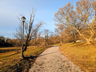 Obraz premium Overview of Prospect Park in winter, Brooklyn, New York - December 2025