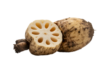 freshly sliced lotus root revealing its unique pattern  . Isolated on transparent background, png