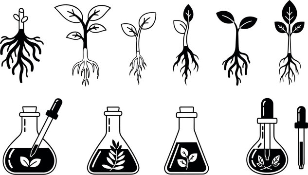Black and White Plant growth Set for Science & Technology
