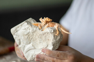 Tiny dinosaur skeleton toy perched on a stone block held by hands © Nataliia