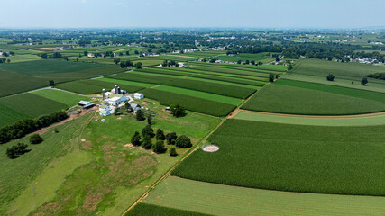 A large area of farmland with green fields and a farm. The sun shines down on the crops, creating a bright environment. The landscape stretches out far into the distance. © Greg Kelton