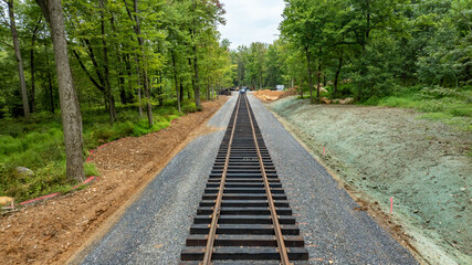 A new railway line is being constructed through a green forest area. Workers are present, and the surroundings are being cleared for the project. Nature complements the development.