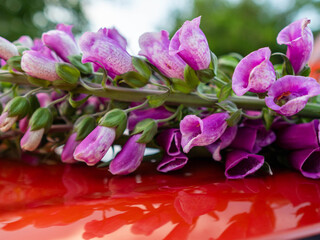 A bunch of purple flowers are on a red metal car surface. The flowers are purple and white, and they are arranged in a way that they are not touching each other.