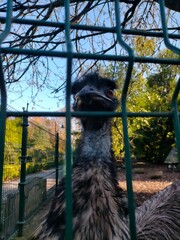 tranquility and relaxation in a park in Gijon, Asturias, Spain