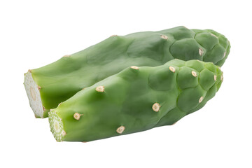 Naklejka premium freshly cut cactus paddles in detail . Isolated on transparent background, png
