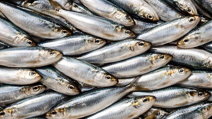 Obraz premium Fresh Whole Sardines Covering Full Surface Background