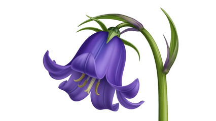 Naklejka premium Detailed bluebell flower PNG isolated on transparent background, vibrant purple petals and green stem for botanical designs