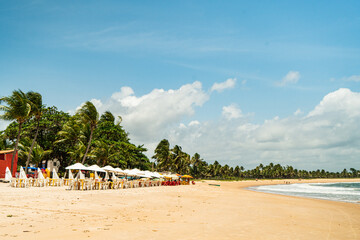 Naklejka premium praia salvador 