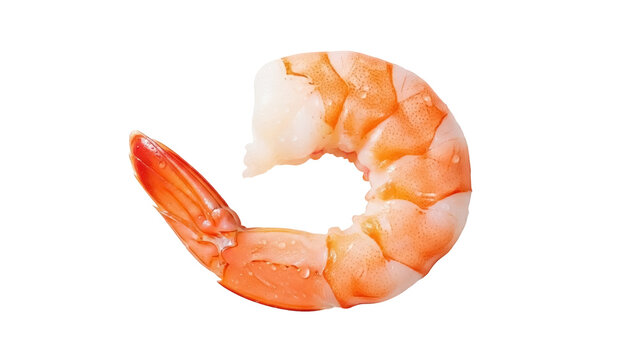 Cooked shrimp isolated PNG on transparent background, peeled prawn with orange stripes, seafood ingredient for healthy eating and gourmet recipes