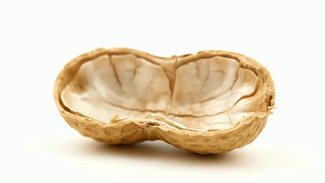 Close up shot of empty peanut shell resting on a clean white background with subtle lighting