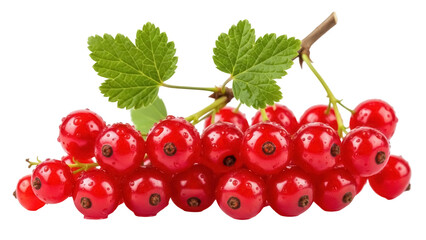Fresh red currant berries isolated PNG on transparent background, vibrant fruit with green leaves for healthy eating and summer designs