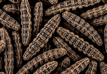 Dried soldier fly larvae