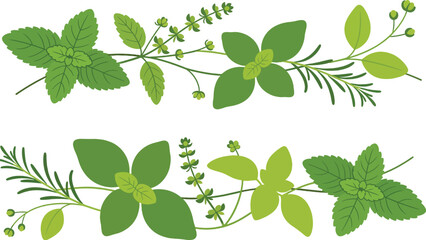 Fresh Culinary Herb Border With Mint Basil Rosemary © asyamusyaffa_