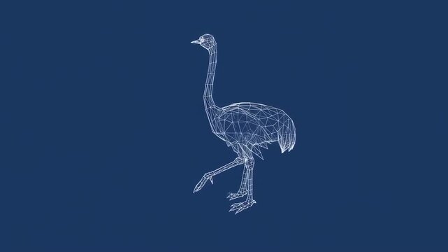 Wireframe illustration of an ostrich