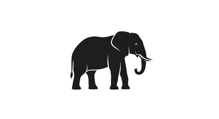 Fototapeta premium Majestic Elephant Silhouette - A Symbol of Strength and Wisdom.