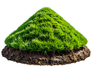 A Lush Green Mound of Grass on a Bed of Soil. transparent background png