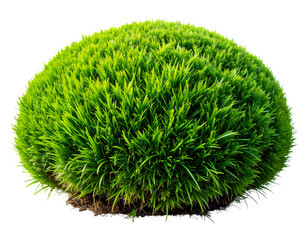 A Perfectly Spherical Green Moss Ball Isolated. transparent background png