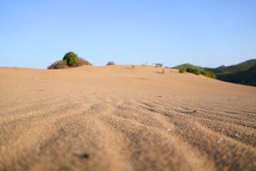 Fototapeta premium Limnos pachies ammoudies sand dunes desert landscape